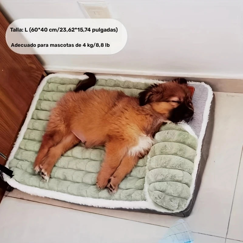 Alfombrilla Lavable para Perros de Invierno Cuatro Estaciones con Protección Espinal Suave Verde