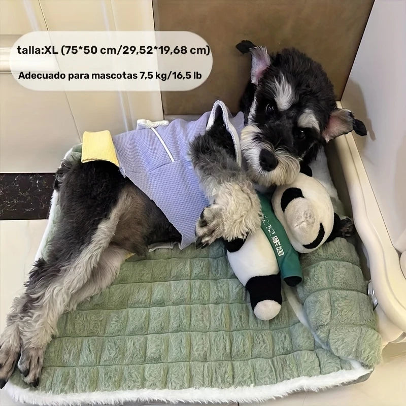 Alfombrilla Lavable para Perros de Invierno Cuatro Estaciones con Protección Espinal Suave Verde